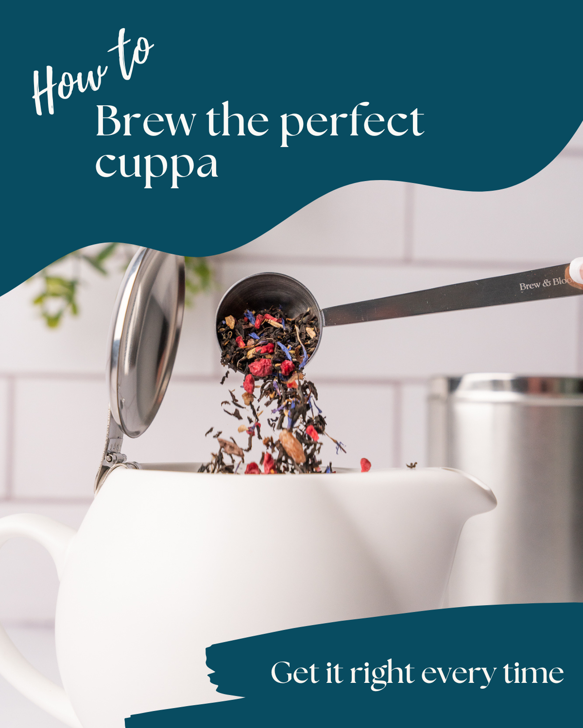 How to Brew the Perfect Cuppa