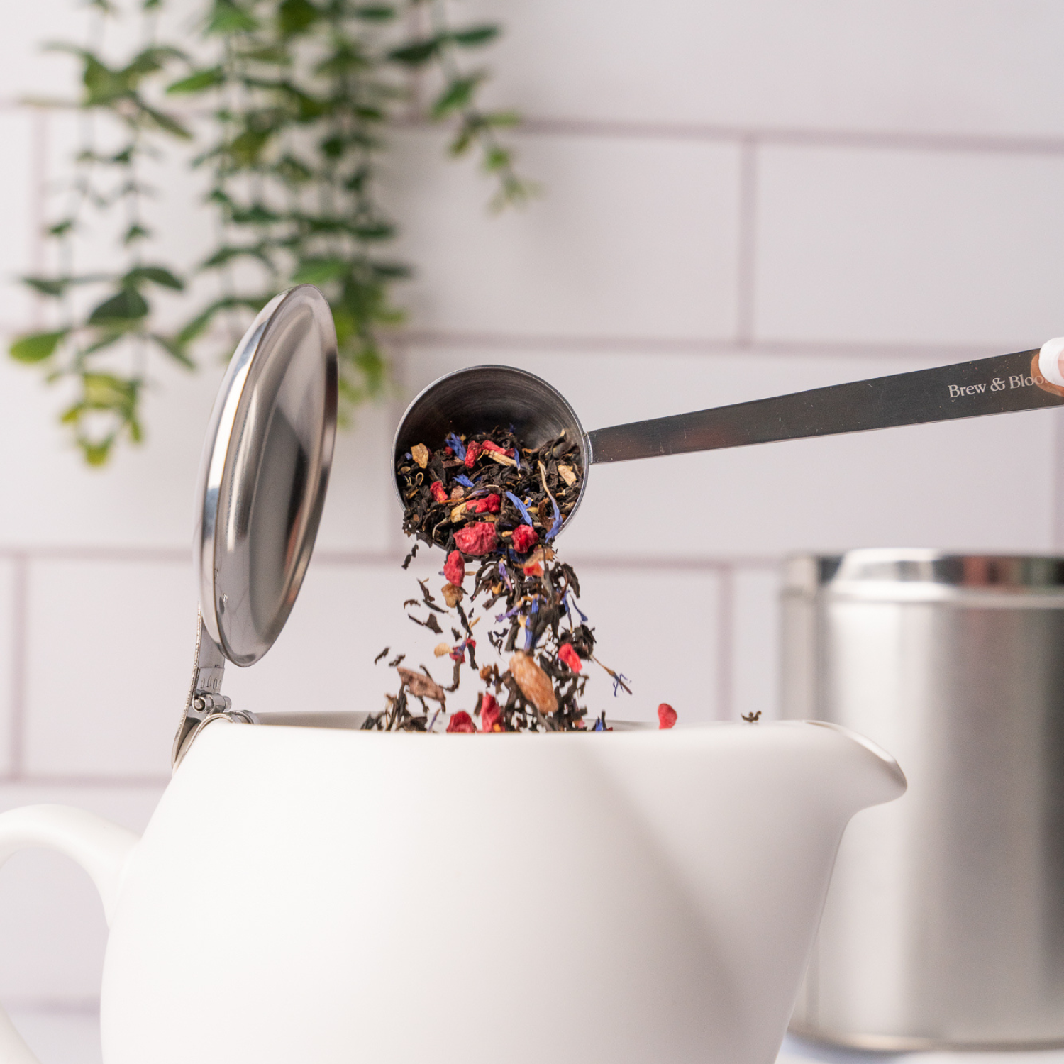 The Signature Ritual - Quite Lovely