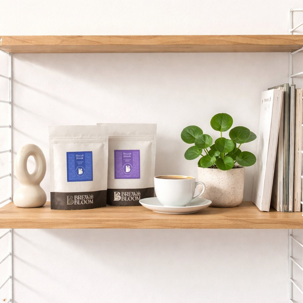 Little Rituals - Take It Easy