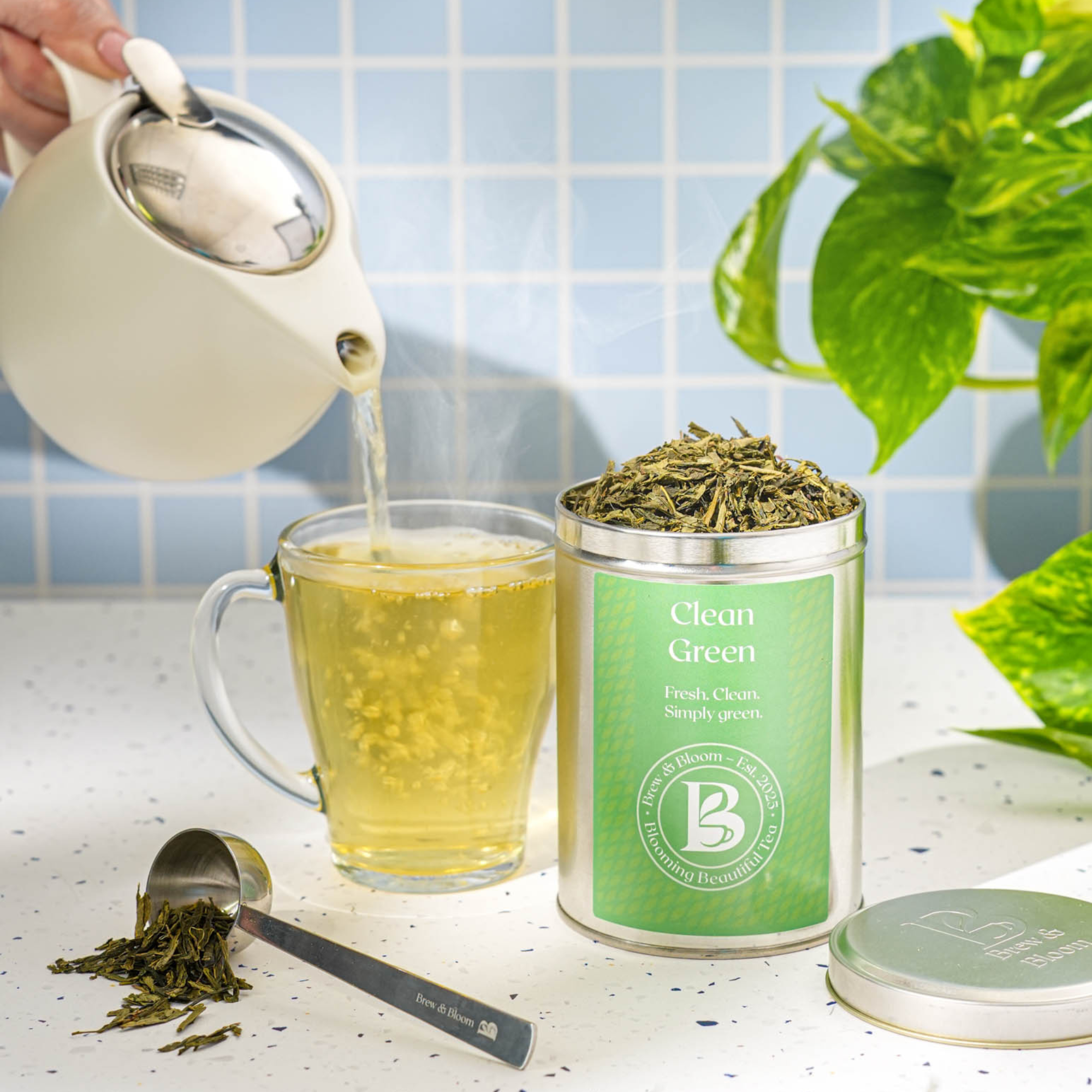The Proper Brew Starter Set