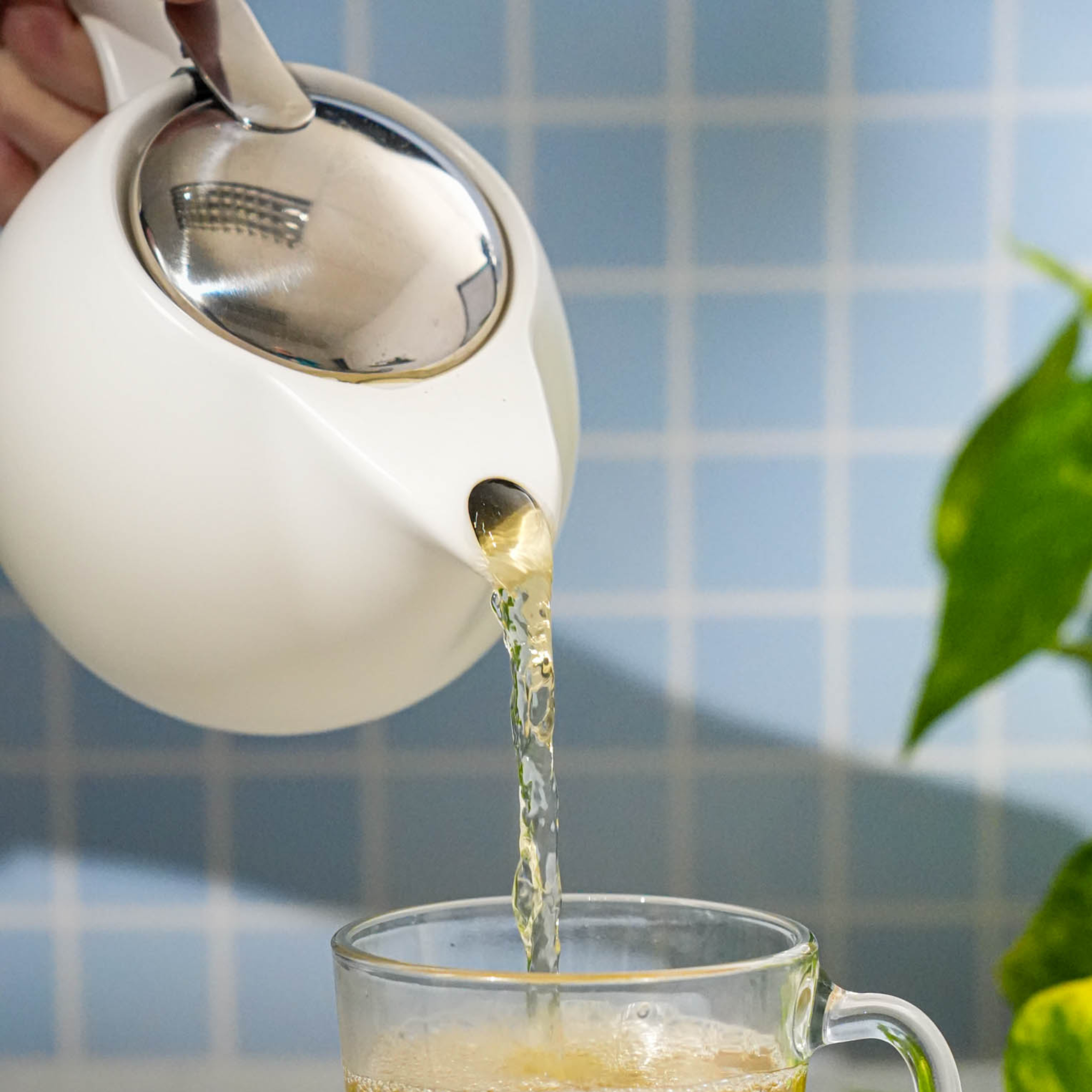 Brew & Bloom Ceramic Infuser Teapot